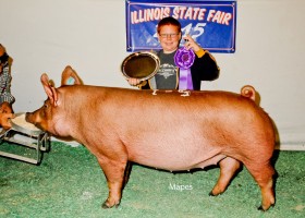 Grand Champion Gilt, Cody Hankes