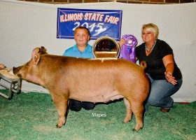 Junior Champion Gilt, Logan Robb