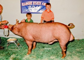 Reserve Senior Boar, Golden Acres Farm