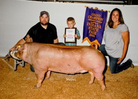 Grand Champion Gilt Open Show, Sugar Creek Genetics