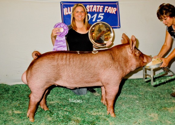 Grand Champion Boar, Ethan Keyser