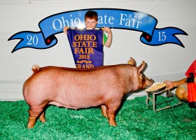 Grand Champion Gilt, Lucas Bradshaw