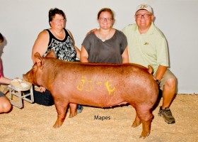 Champion Senior Gilt, Jeff Gulick and Family