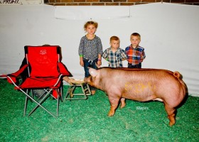 Reserve Grand Champion Gilt, Clint High Farms