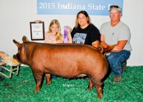 Champion Gilt Junior Show, Harleigh Lowe