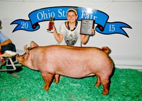 Reserve Grand Champion Junior Show Gilt, Chloe Studebaker