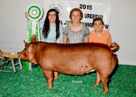 Reserve Champion Bred and Owned Gilt, Emily Tricker