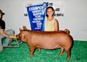 Champion Tamworth Barrow, Riley Koopman