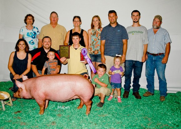 Grand Champion Junior Show Gilt, Jason Geer