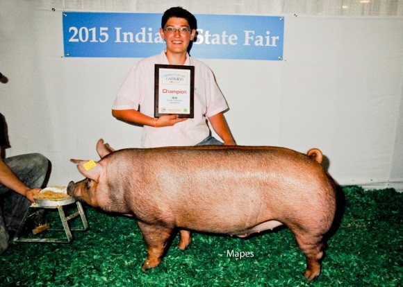Champion Barrow Junior Show and Champion Tamworth Showman, Tate Coulter