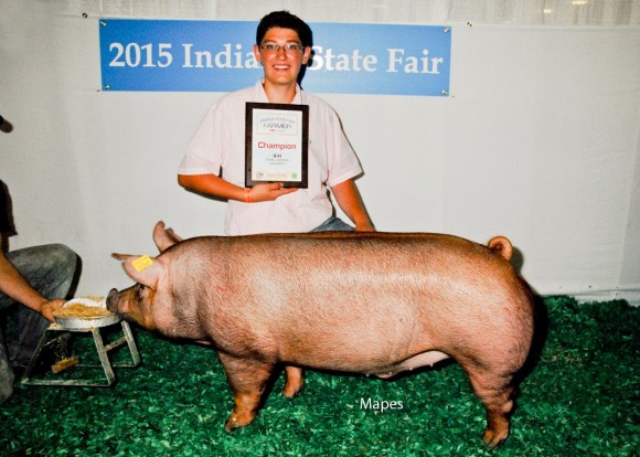 Champion Barrow Junior Show and Champion Tamworth Showman, Tate Coulter
