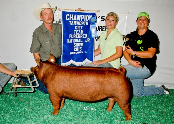 Champion Tamworth Gilt, Peyton Hill