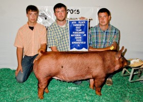 4th Place Tamworth Gilt, Lester Moore