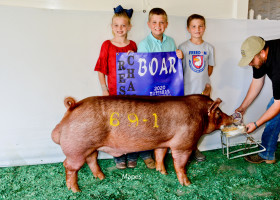 Reserve Grand Tam Boar 2020