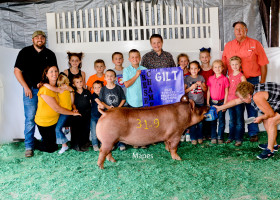 Reserve Grand Tam Gilt 2020