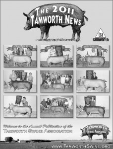 TAMWORTH-NEWS-2011