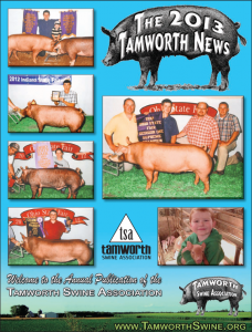 TAMWORTH-NEWS-2013