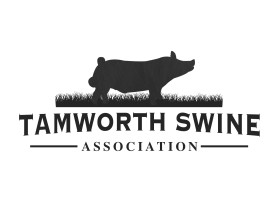 TamworthSwineLogo