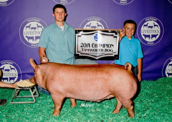 Dalton Guffey, Champion Tamworth Gilt